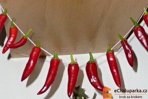 Chilli paprička Cayenne je jednoletá rostlina.
